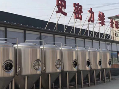鹰手营子矿精酿啤酒设备厂—如何判断精酿啤酒设备的密封件需要更换？